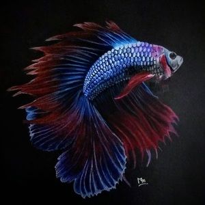 Meet your Posher, Smitha